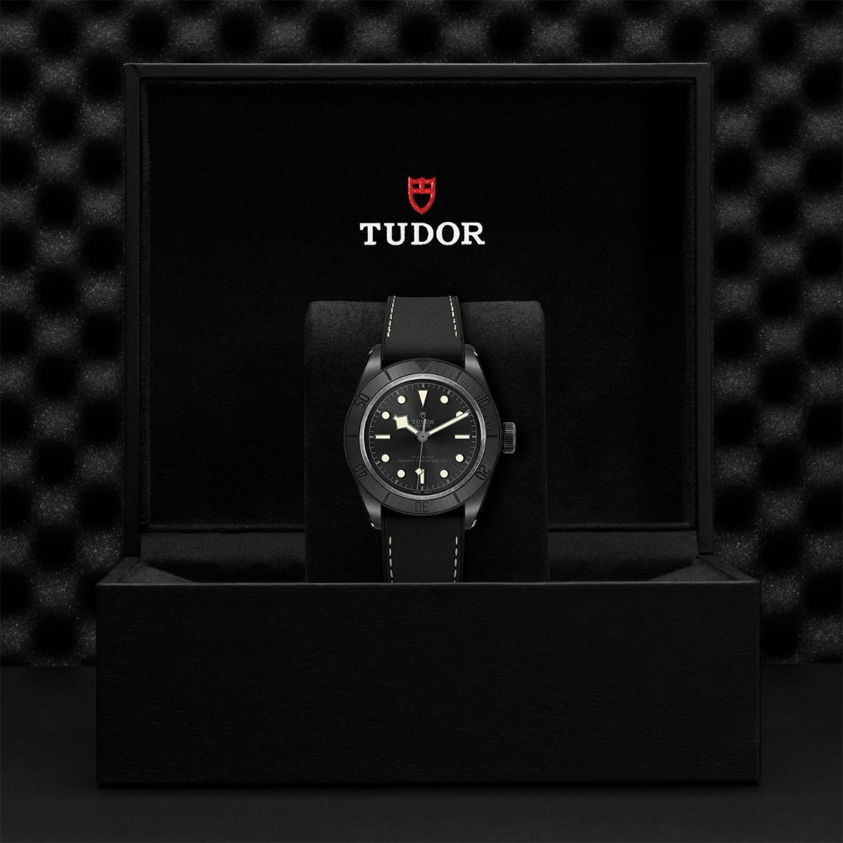 TUDOR Black Bay Ceramic 2