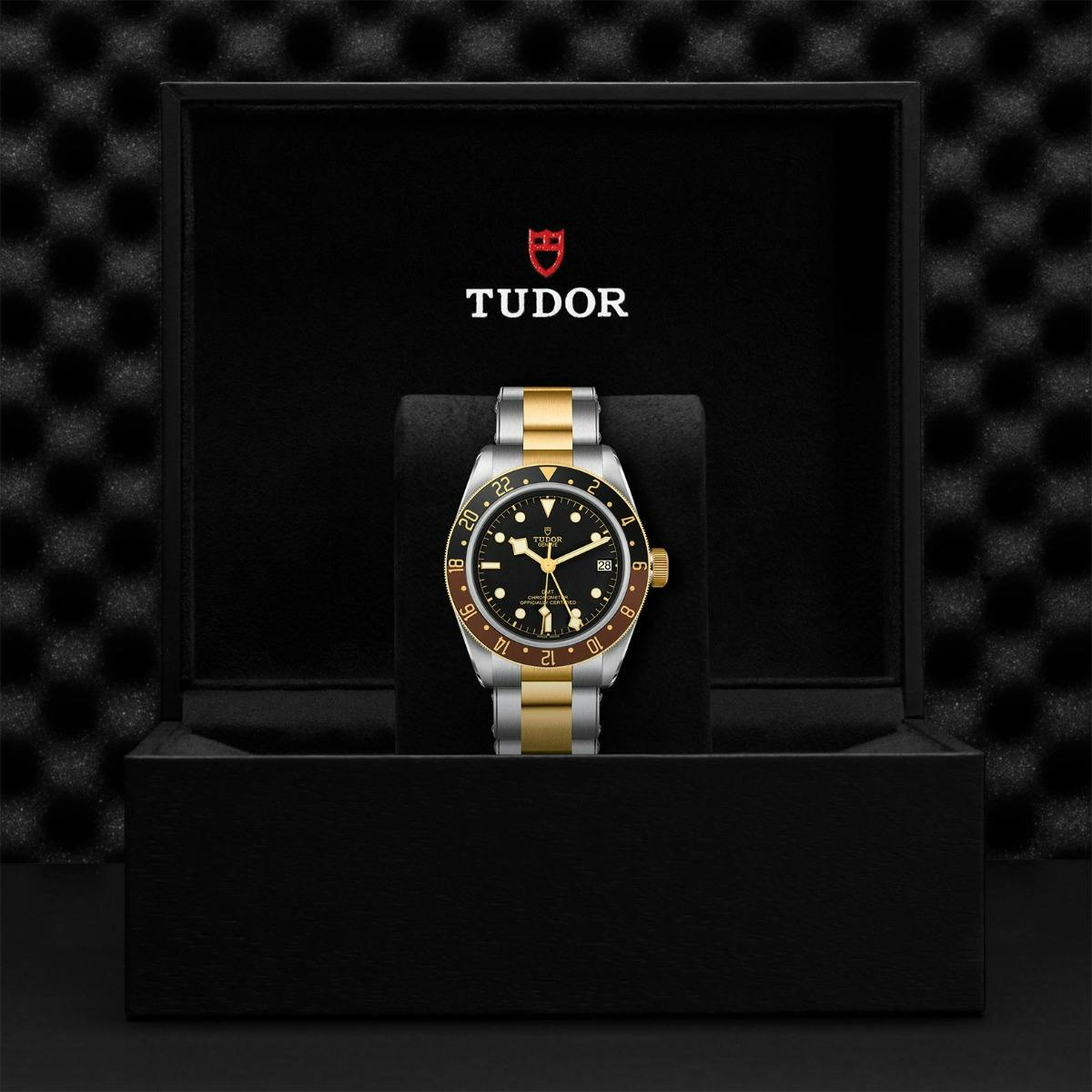 TUDOR Black Bay GMT S&G 2